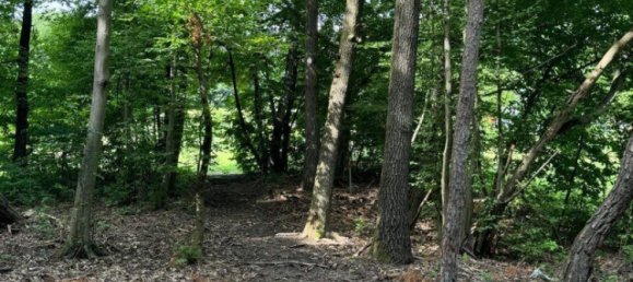  Commercial property in Kohfidisch, Austria No. 134640 3