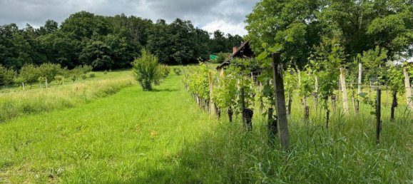  Commercial property in Kohfidisch, Austria No. 134640 10