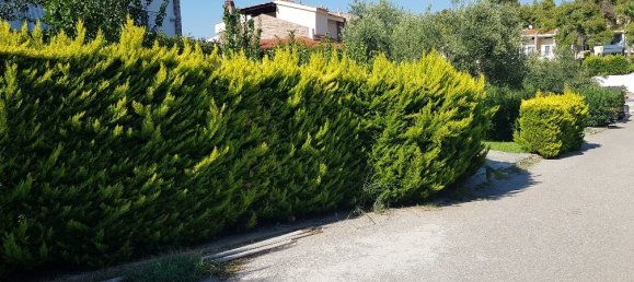 Propiedad comercial de 4 dormitorios en Chalkidiki, Greece No. 4635 25