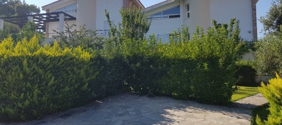 Propiedad comercial de 4 dormitorios en Chalkidiki, Greece No. 4635 24