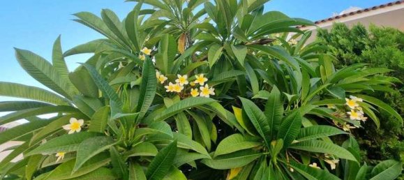 Villa de 4 dormitorios en Agios Tychonas, Cyprus No. 7101 2