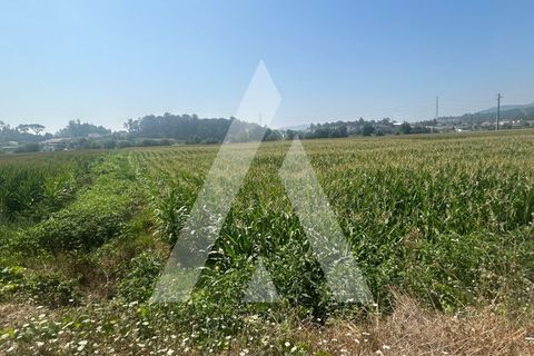  Land in Valongo, Portugal No. 291710