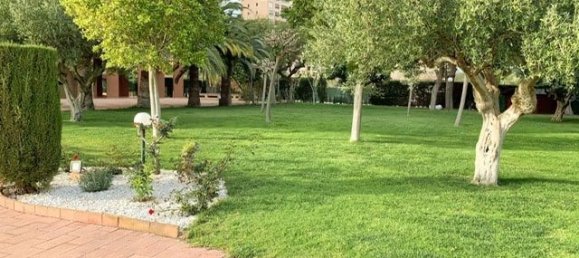 Apartamento de 3 dormitorios en Benidorm, Spain No. 12078 19