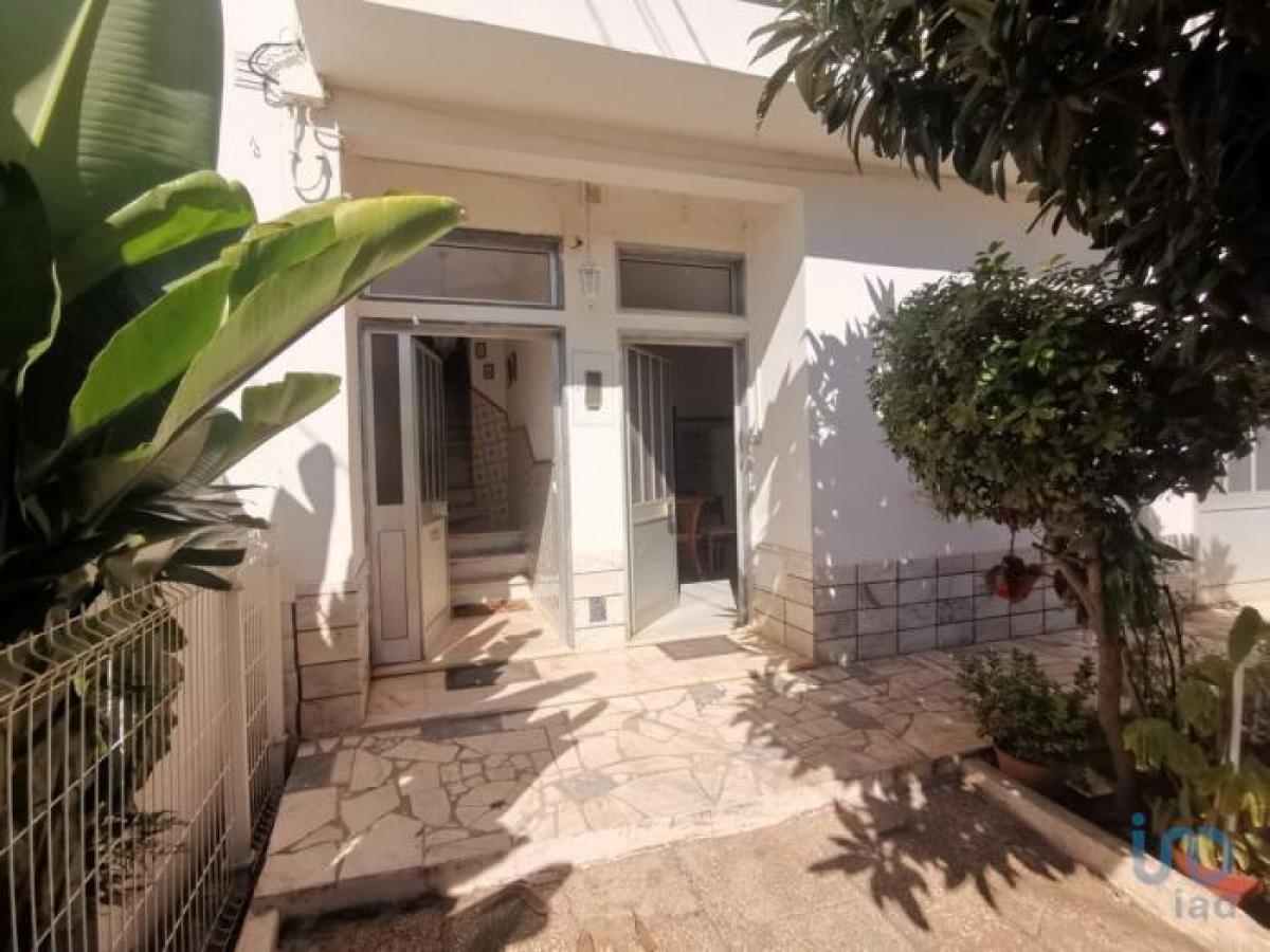 4 bedrooms House in Silves, Portugal No. 5486