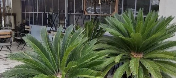 Büro in Milan, Italy 160m², Nr. 358983 28