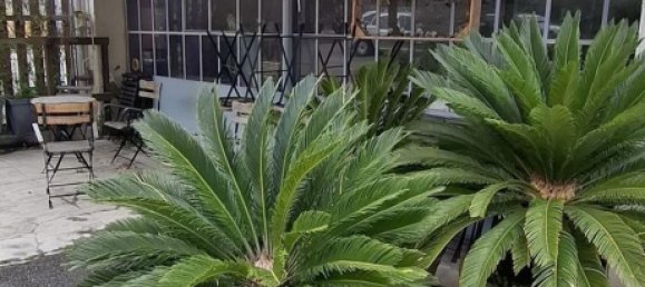 Büro in Milan, Italy 160m², Nr. 358983 23