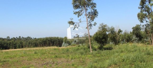 قطعة أرض في Rio Meao, Portugal 4513متر مربع رقم 95386 9