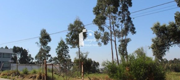 قطعة أرض في Rio Meao, Portugal 4513متر مربع رقم 95386 6