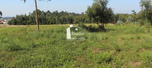 قطعة أرض في Rio Meao, Portugal 4513متر مربع رقم 95386 12