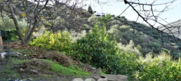 5 Schlafzimmer Haus in Sayalonga, Spain, Nr. 41946 41