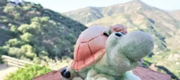 5 Schlafzimmer Haus in Sayalonga, Spain, Nr. 41946 12