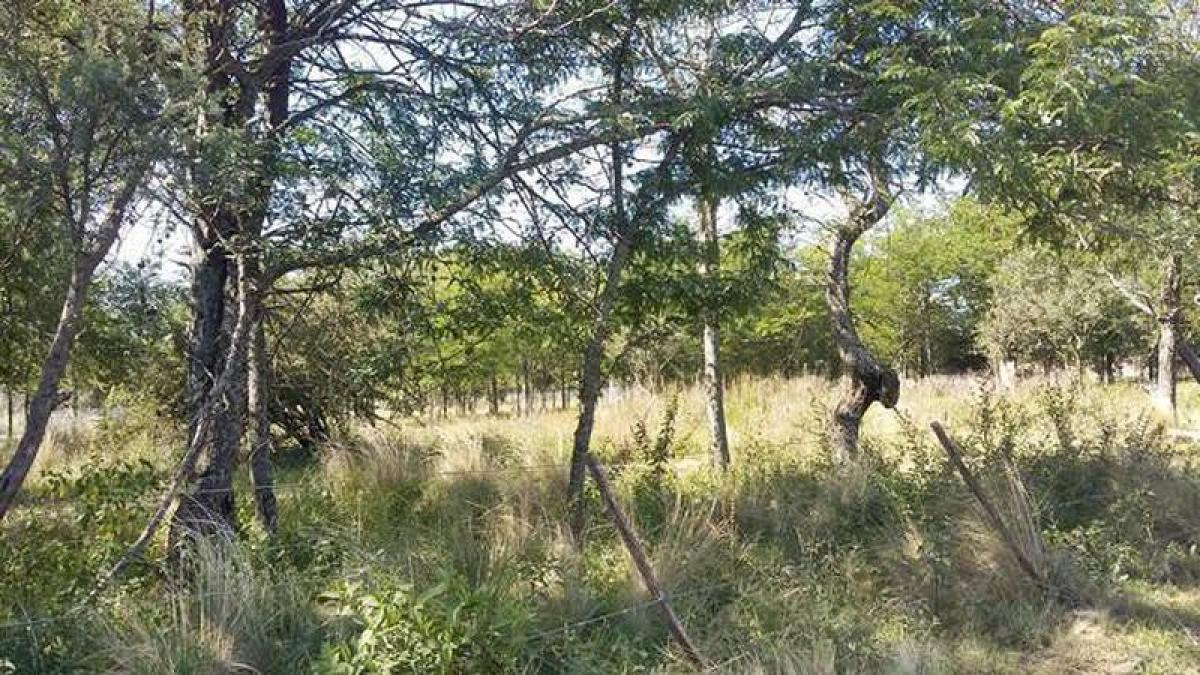 Terreno en Córdoba, Argentina No. 31704