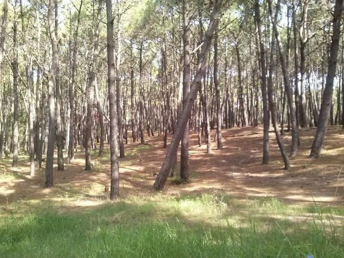  Land in Mar del Plata, Argentina No. 118482