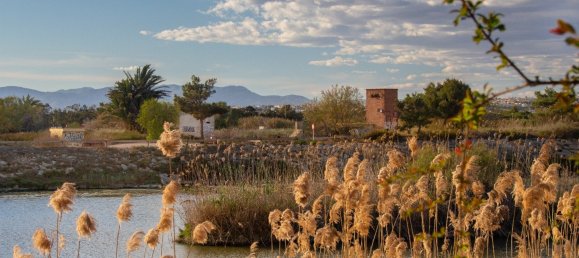 3 bedrooms Apartment in Guardamar del Segura, Spain No. 12533 29