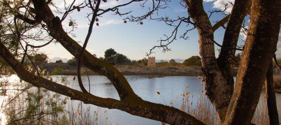 3 bedrooms Apartment in Guardamar del Segura, Spain No. 12533 28