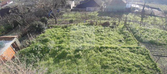 3 غرف نوم منزل في Vila Real, Portugal رقم 169737 3