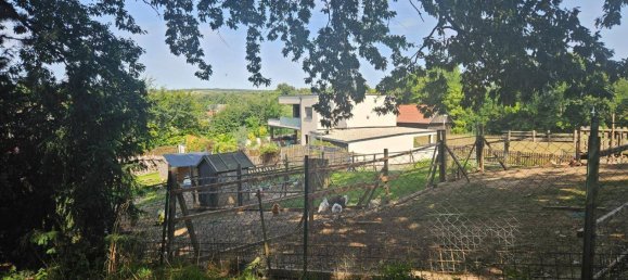 Casa de 4 habitaciónes en Gaweinstal, Austria No. 259176 26