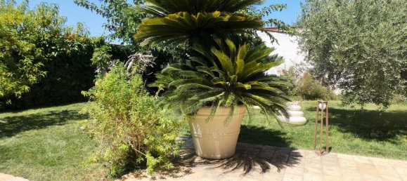 5 chambres Villa à Porto Cesareo, Italy No. 343033 25