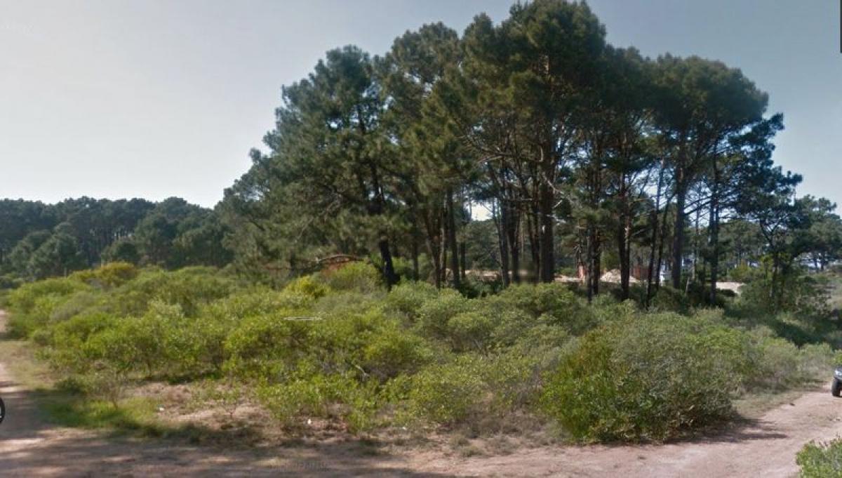 Terrain à Maldonado, Uruguay No. 15398