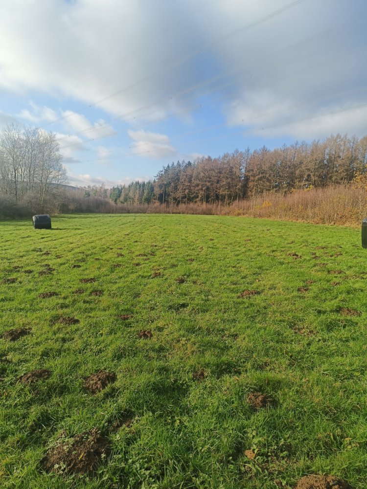 Terrain à Sécheval, France No. 68990