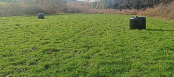 Terrain à Sécheval, France No. 68990 4