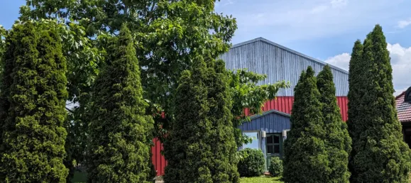 Коммерческая недвижимость с 3 спальнями в Северо-Западный Мекленбург, Германия № 126710 5