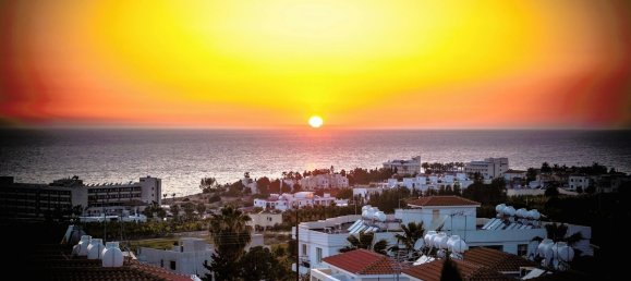 Gewerbliche Immobilie in Kissonerga, Cyprus 1381m², Nr. 22392 16