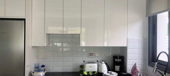 Gewerbliche Immobilie in Kissonerga, Cyprus 1381m², Nr. 22392 13