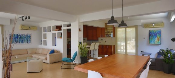 Gewerbliche Immobilie in Kissonerga, Cyprus 1381m², Nr. 22392 6