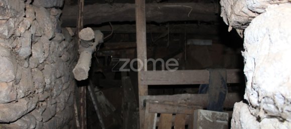 4 غرف نوم منزل في Penalva do Castelo, Portugal رقم 73187 15