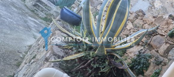 1 Schlafzimmer Villa in Pietroso, France, Nr. 214576 18