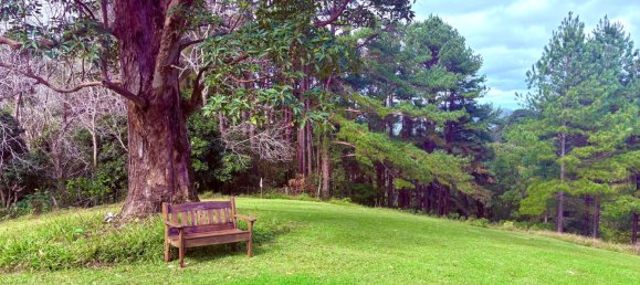 3 bedrooms Farm in Nimbin, Australia No. 479 30