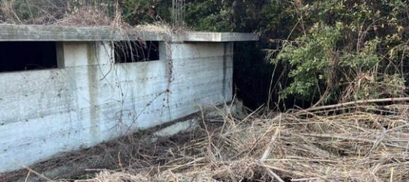 1800m² Land in Tortoreto, Italy No. 166976 7