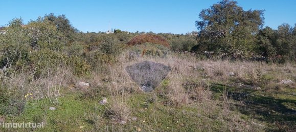 4720m² Land in Olhao, Portugal No. 38990 2
