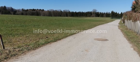 Terrain à Perwang am Grabensee, Austria 1000m² No. 204621 3