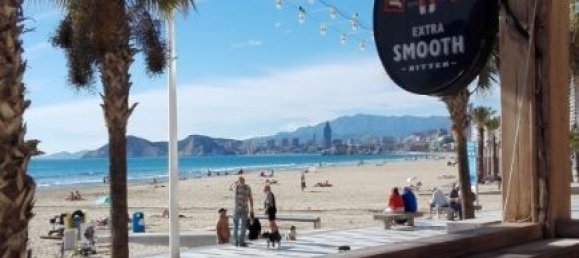 2 bedrooms Commercial property in Benidorm, Spain No. 4328 3