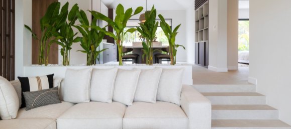 2 bedrooms Cafe / restaurant in Hua Hin, Thailand No. 6459 14