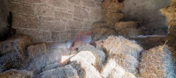 2 غرف نوم منزل في Cabeceiras de Basto, Portugal رقم 147847 15