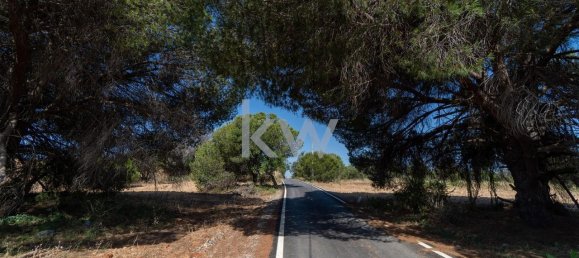 6471m² Land in Loule, Portugal No. 38717 12