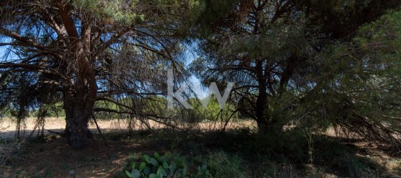 6471m² Land in Loule, Portugal No. 38717 13