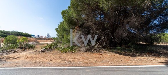 6471m² Land in Loule, Portugal No. 38717 14