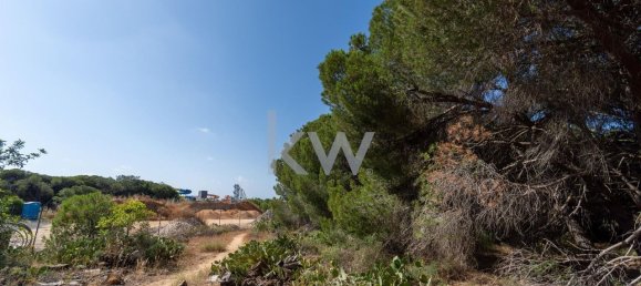 6471m² Land in Loule, Portugal No. 38717 11