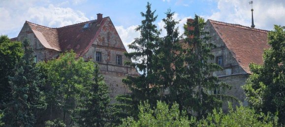 Villa de 40 divisões em Elbe-Elster, Germany N.º 264316 4