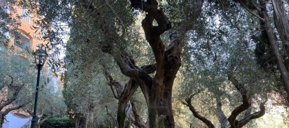 2 bedrooms Apartment in Monte Argentario, Italy No. 296907 24