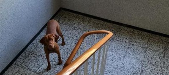 4-Zimmer Wohnung in Cologne, Germany, Nr. 162411 6