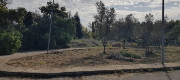  قطعة أرض في Lamezia Terme, Italy 723متر مربع رقم 39268 3