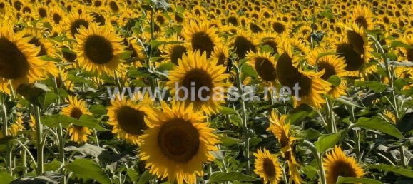 Casa T6 em Senigallia, Italy N.º 312242 8