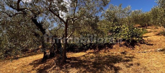 2 bedrooms House in Perugia, Italy No. 258874 26