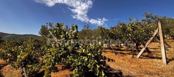 2 bedrooms House in Perugia, Italy No. 258874 28