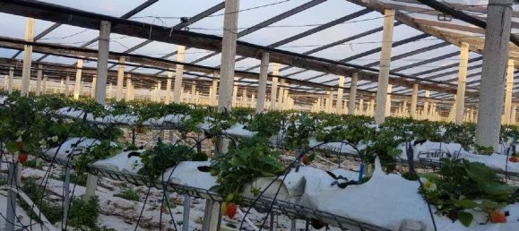 Almacén de 1 habitación en Santa Croce Camerina, Italy No. 351579 22